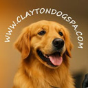 Dog Logo